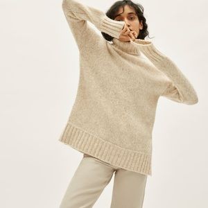 Everlane The Cloud Turtleneck